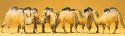Animals -- Camels (Bactrian, 2 Humps) pkg(6), HO, Preiser Kg 20383