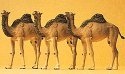 Animals -- Camels (Dromedary, 1 Hump) pkg(3), HO, Preiser Kg 20397