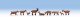 Goats -- pkg(9), HO, Noch Gmbh & Co 15752