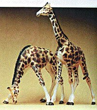 Animals -- Giraffes pkg(2), HO, Preiser Kg 20385