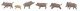 Wild Boars -- pkg(6), HO, Faller Gmbh 151925