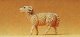 Domestic Animal Figures, 1/24 - 1/25 Scale -- Ram Bleating w/Mouth Open, 1/25, Preiser Kg 47056