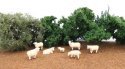 Sheep pkg(7), HO, Bachmann Industries 33122