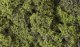 Fine Leaf Foliage(TM) - 75 Cu. In. 1.2 Cu. m. -- Light Green, All Scales, Woodland Scenics 1132
