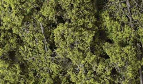 Fine Leaf Foliage(TM) - 75 Cu. In. 1.2 Cu. m. -- Light Green, All Scales, Woodland Scenics 1132