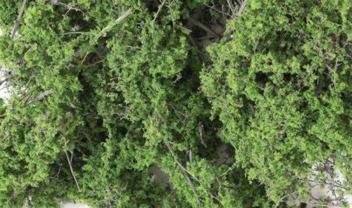 Fine Leaf Foliage(TM) - 75 Cu. In. 1.2 Cu. m. -- Medium Green, All Scales, Woodland Scenics 1131