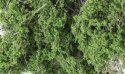 Fine Leaf Foliage(TM) - 75 Cu. In. 1.2 Cu. m. -- Medium Green, All Scales, Woodland Scenics 1131