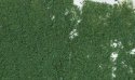 Foliage - 90.7 Square Inches 585 Square cm -- Dark Green, All Scales, Woodland Scenics 53