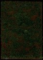 Thinning Grass Pad - 11-11/16 x 8-1/4′ 29.7 x 21cm -- Heathland Grass, HO, Busch Gmbh & Co Kg 1309