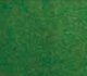 Grass Mat 50 x 100′ 127 x 254cm -- Dark Green, HO, JTT Miniature Tree 95406