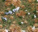 Premium Countryside Segment -- Forest Floor 8-1/4 x 5-7/8 x 3/8′ 21 x 14.8 x 1cm, All Scales, Faller Gmbh 180475