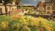 Flowers /250, HO, Noch Gmbh & Co 6800