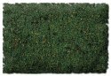 Flock & Turf - Scenic Foams & Ground Textures - Blended Tones - 64 Ounces -- Forest Floor , All Scales, Scenic Express 885C