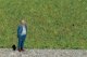 Static Grass Blends - 1.8oz 50g -- Cow Pasture, All Scales, Noch Gmbh & Co 7073