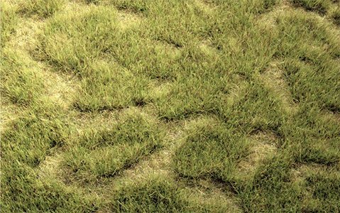 Tuftgrass(R) Pad - 17-1/2 x 6-1/2′ 44.5 x 16.5cm -- Spring, All Scales, Heki/Mini Forest 1841