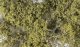 Fine Leaf Foliage(TM) - 75 Cu. In. 1.2 Cu. m. -- Olive Green, All Scales, Woodland Scenics 1133