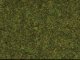 Static Wild Grass - 1.8oz 50g 3/8′ .9cm fibers -- Meadow, All Scales, Noch Gmbh & Co 7117