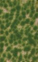 Grass Tuft Sheet -- Long Spring Tufts 3/16` .4cm Tall, 5-7/16 x 3-7/16` 13.8 x 8.8cm, All Scales, Busch Gmbh & Co Kg 3516