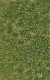 Grass Tuft Sheet -- Spring Weed Tufts 3/16` .4cm Tall, 5-7/16 x 3-7/16` 13.8 x 8.8cm, All Scales, Busch Gmbh & Co Kg 3541