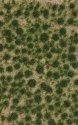 Grass Tuft Sheet -- Short Late Summer Tufts 1/16` .2cm Tall, 5-7/16 x 3-7/16` 13.8 x 8, All Scales, Busch Gmbh & Co Kg 3513