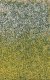 Grass Tuft Sheet -- Spring Blossom Tufts 3/16` .4cm Tall, 5-7/16 x 3-7/16` 13.8 x 8.8c, All Scales, Busch Gmbh & Co Kg 3546