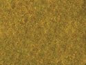 Meadow Foliage Sheet -- Yellow-Green 7-7/8 x 9′ 20 x 23cm, All Scales, NOCH 7290