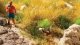 Stony Grass Tufts - Profi -- White and Beige Stones pkg(25) 1/4′ .6cm, All Scales, Noch Gmbh & Co 6920