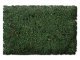 Flock & Turf - Scenic Foams & Ground Textures - Blended Tones - 32 Ounces -- Forest Floor , All Scales, Scenic Express 885B