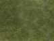 Ground Cover Foliage Pad -- Dark Green 4-3/4 x 7-1/16′ 12 x 18cm, All Scales, Noch Gmbh & Co 7252