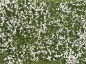 Ground Cover Foliage Pad -- Meadow White 4-3/4 x 7-1/16′ 12 x 18cm, All Scales, NOCH 7256