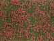 Ground Cover Foliage Pad -- Meadow Red 4-3/4 x 7-1/16′ 12 x 18cm, All Scales, Noch Gmbh & Co 7257