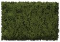 Flock & Turf - Scenic Foams & Ground Textures - Green Tones - 32 Ounces -- Burnt Green - C, All Scales, Scenic Express 813B