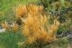 Reeds -- Light Brown 1/4′ .75cm Tall, All Scales, Faller Gmbh 170715