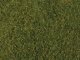 Tear & Plant Meadow Grass -- Light Green - Measures 7-7/8 x 9′ 20 x 23cm, All Scales, Walthers SceneMaster 1224