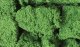 Foliage Clusters(TM) - 45 Cubic Inches 737 Cubic cm -- Medium Green, All Scales, Woodland Scenics 58