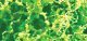 Foliage Fiber Cluster -- Coarse Light Green 150 Square Inches, All Scales, JTT Miniature Tree 95057