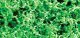 Foliage Fiber Cluster -- Coarse Medium Green 150 Square Inches, All Scales, JTT Miniature Tree 95058
