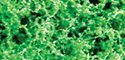 Foliage Fiber Cluster -- Coarse Medium Green 150 Square Inches, All Scales, JTT Miniature Tree 95058