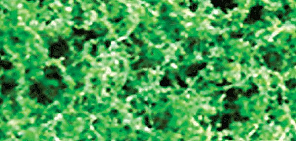 Foliage Fiber Cluster -- Coarse Medium Green 150 Square Inches, All Scales, JTT Miniature Tree 95058