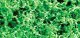 Foliage Fiber Cluster -- Fine Medium Green 150 Square Inches, All Scales, JTT Miniature Tree 95066