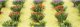 Detachable Bushes pkg(30) -- Flowers 3/8′ 1cm Tall, HO, JTT Miniature Tree 95581