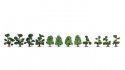 Ornamental Bushes -- 12 Pieces, 1-7/16 - 1-15/16′ 4cm - 5cm, All Scales, NOCH 21546