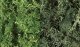 Lichen - 48oz 2.84L -- Dark Green Mix, All Scales, Woodland Scenics 168