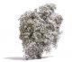 Filigree Bush -- White Blossoms 5/8′ 1.5cm Tall, All Scales, Busch Gmbh & Co Kg 3585