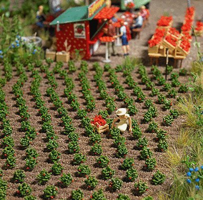 Strawberry Plants -- Kit pkg(40), HO, Busch Gmbh & Co Kg 1265