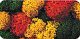 Lichen Double-Pack - 2-3/4oz 78g -- Autumn, All Scales, Noch Gmbh & Co 8620