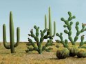 Mixed Cactus pkg(15) -- Height: 1/4 to 2-1/2′ .6 to 6.4cm, HO, Bachmann Industries 32513