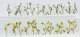 Daisies -- 7/8′ 2.2cm Tall pkg(24), O, JTT Miniature Tree 95544