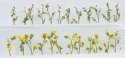 Daisies -- 7/8′ 2.2cm Tall pkg(24), O, JTT Miniature Tree 95544