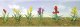Assorted Flower Plants -- Set 2 pkg(10), O, JTT Miniature Tree 95560